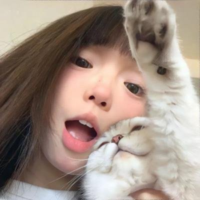太太的保镳